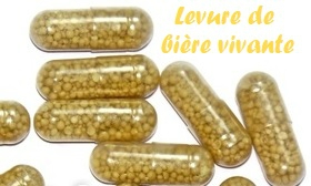 levure de biere active